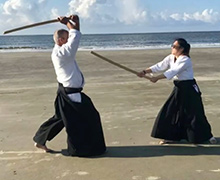 sword fight